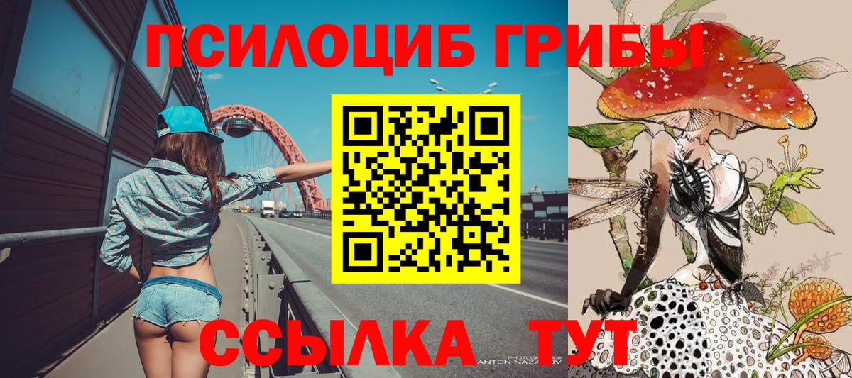 Псилоцибиновые грибы MAGIC MUSHROOMS Советск