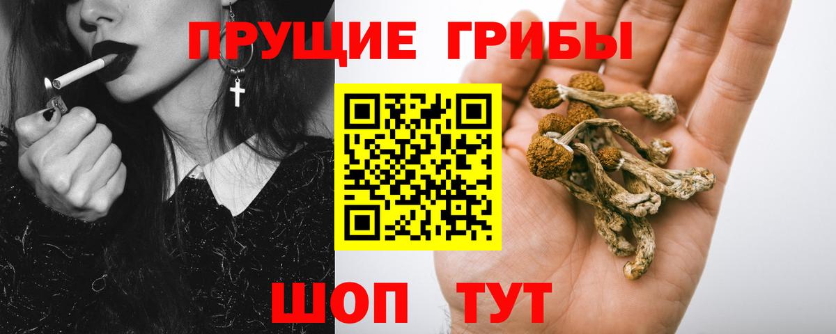 Советск  Галлюциногенные грибы MAGIC MUSHROOMS  Вход с VPN 
